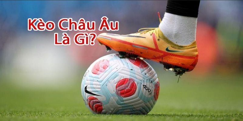 Kèo Châu Âu Cách tính tỷ lệ kèo Châu Âu